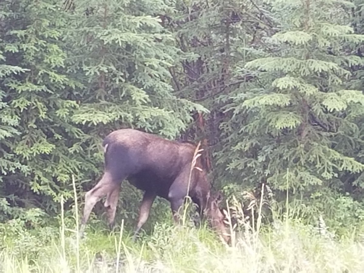 Putter1955's tweet image. 