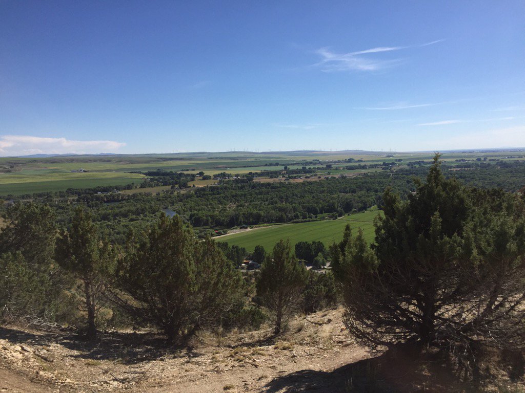 Lyle Cook (@lylecook) on Twitter photo 