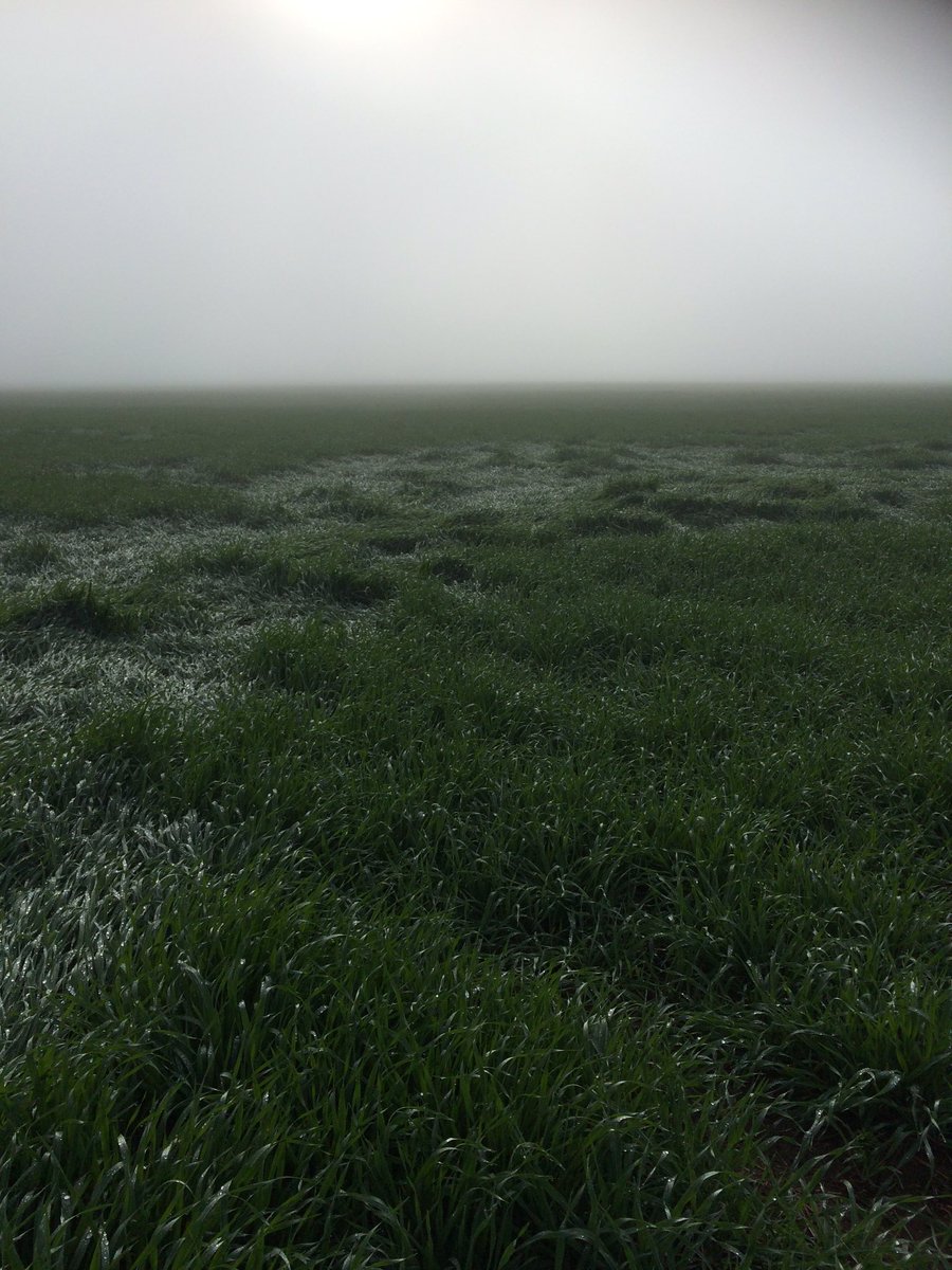 Paul Ackland tweet media