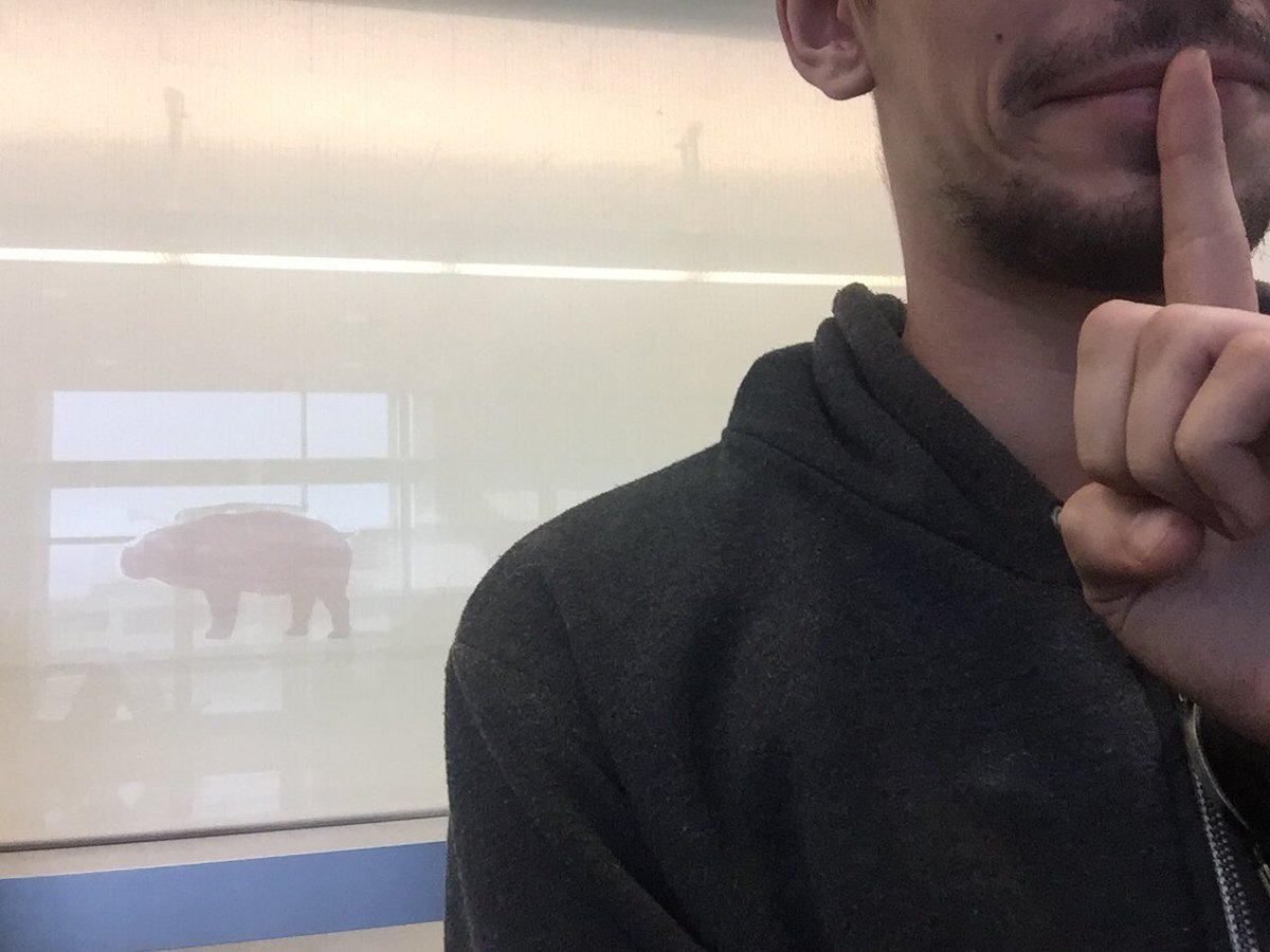 devbostick's tweet photo. You got pig stickered, San Fran airport.... It'll make sense in a year. https://t.co/1pQduNBj16