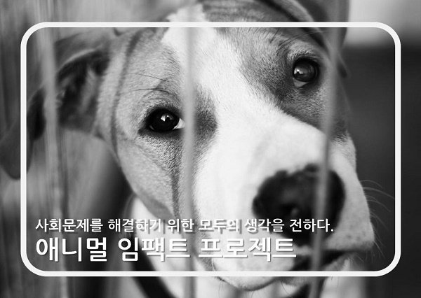 동물보호법 개정을 위한 '마음을 움직이는 책' 프로젝트 시작 wikitree.co.kr/main/news_view…  #동물보호법