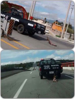 CALLEJERITO tweet media