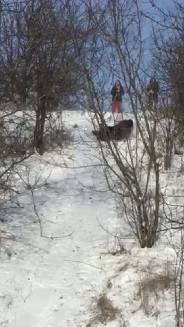 live_we11's tweet photo. Happs brah hope your day goes better than this one 😋🎉 https://t.co/i1fRJP74Lk