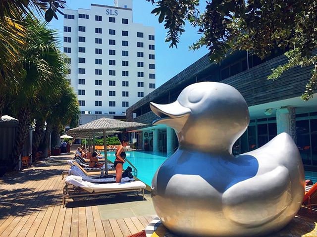 SLSSouthBeach's tweet photo. no work all play 📷: @ryan13ad https://t.co/CpsNBIRQpx
