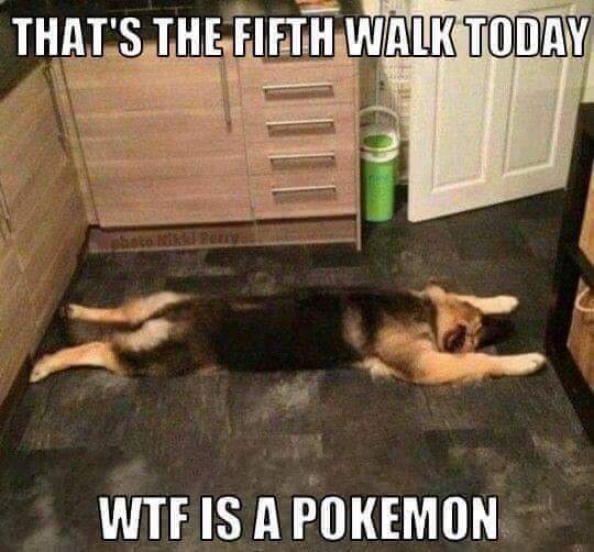 gsrescueelite's tweet photo. This gave me a chuckle 😂😂 https://t.co/QwBjiLTYiK