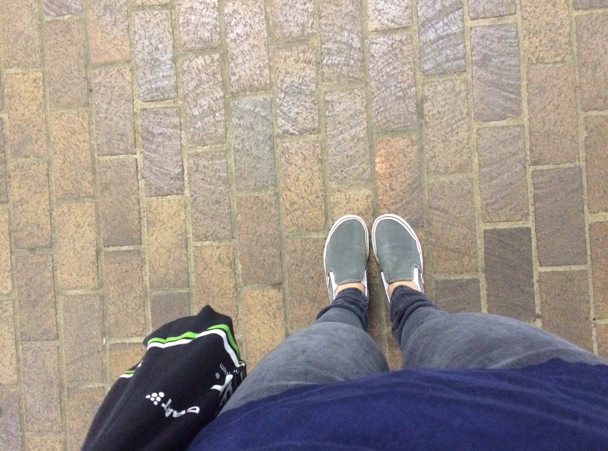 Meredith tweet media