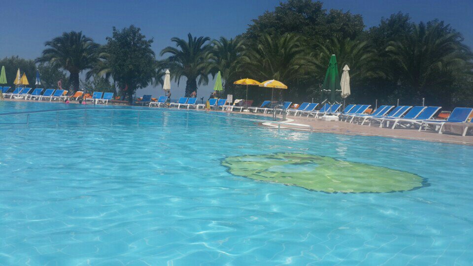 balcnar's tweet photo. İlk biz geldiysek  demek sabahın köründe😬😬😬🏊👏 (@ Club Kale Havuz) https://t.co/cUUlGNbc4j https://t.co/D6cTc2hl2z