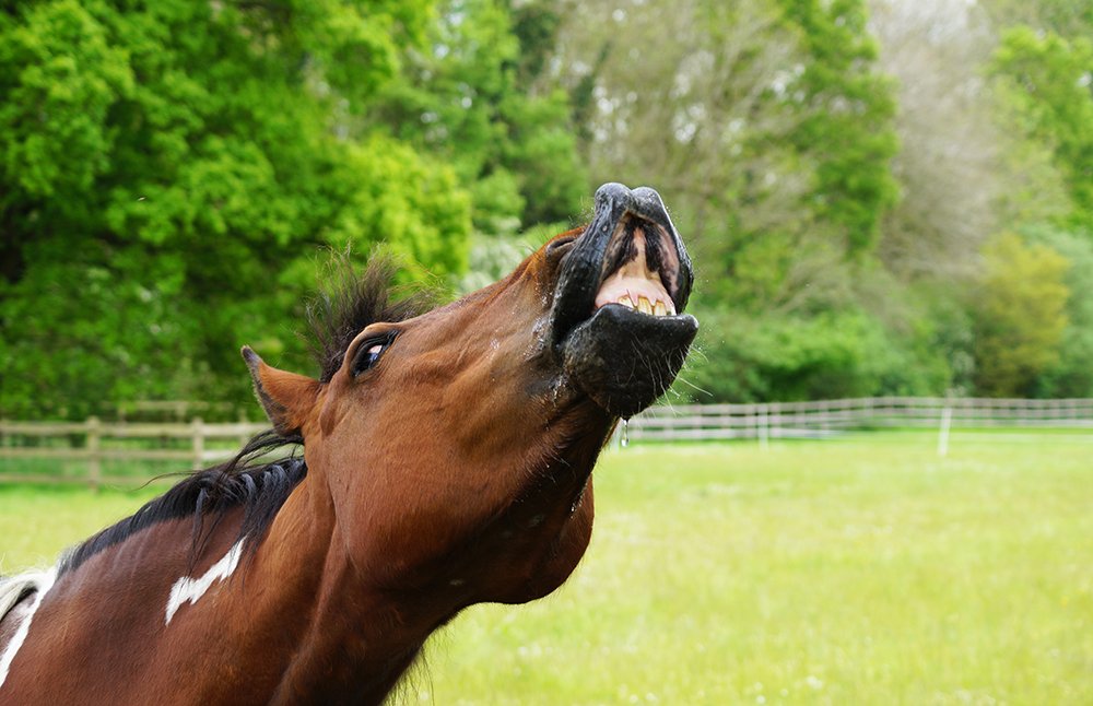 RedwingsHS's tweet image. #FridayFeeling