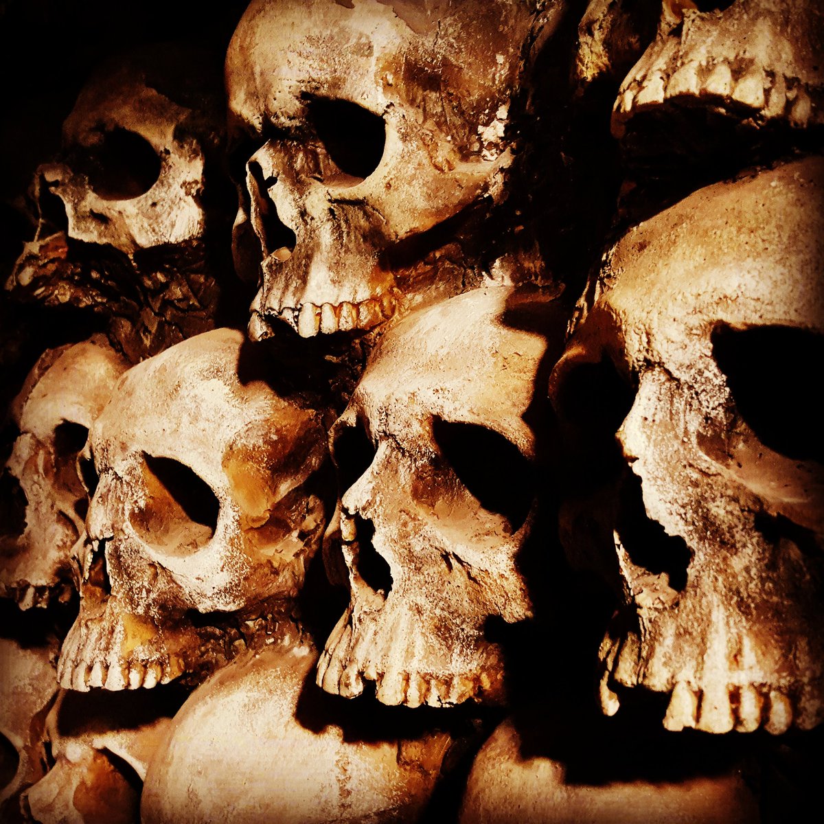 This Fall, a family's dark secret will be revealed...
#terroronthefox #twenty #XX