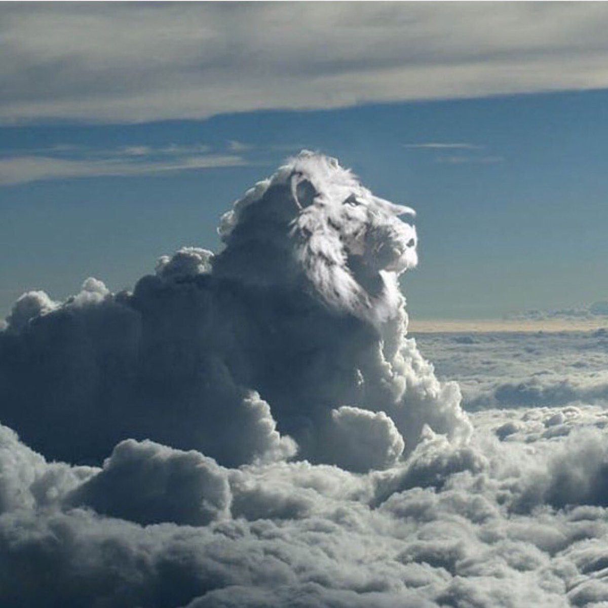 Temperrr's tweet image. The world is yours