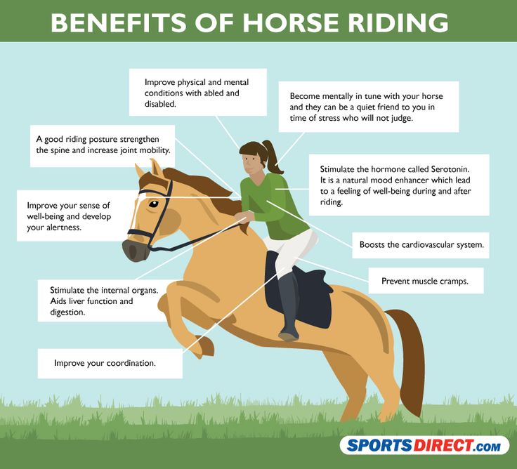 HantonCavalier's tweet image. Ride! #ride more and even more! Get your #horse and enjoy the #ride :) #equine #equestrian #riding #fei #equinehour