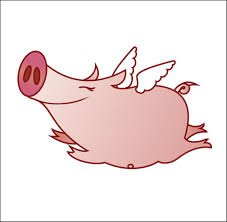 Edinburgh777's tweet image. Go Fly a Kite! Kite Fighting + NASA
mathpigfun.weebly.com/blog
#homeschool #kite #KiteFighting #Aerodynamics #SummerFun