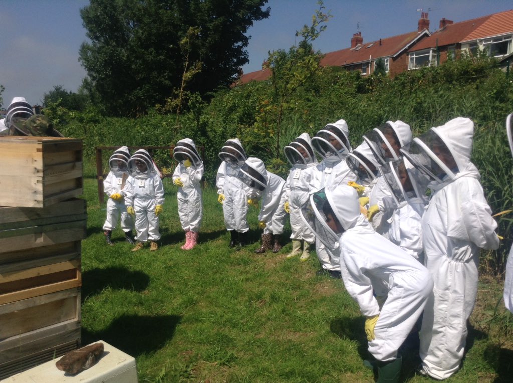 @Year4_Layton tweet media