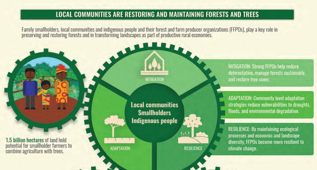 FAOKnowledge's tweet image. Local communities play a key role in preserving &amp;amp; restoring #forests bit.ly/2a0wFSw #COFO23 #climatechange