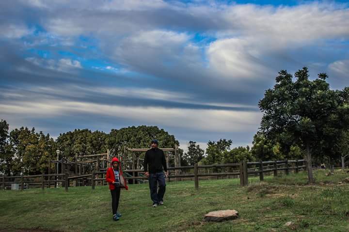Bellville parkrun tweet media