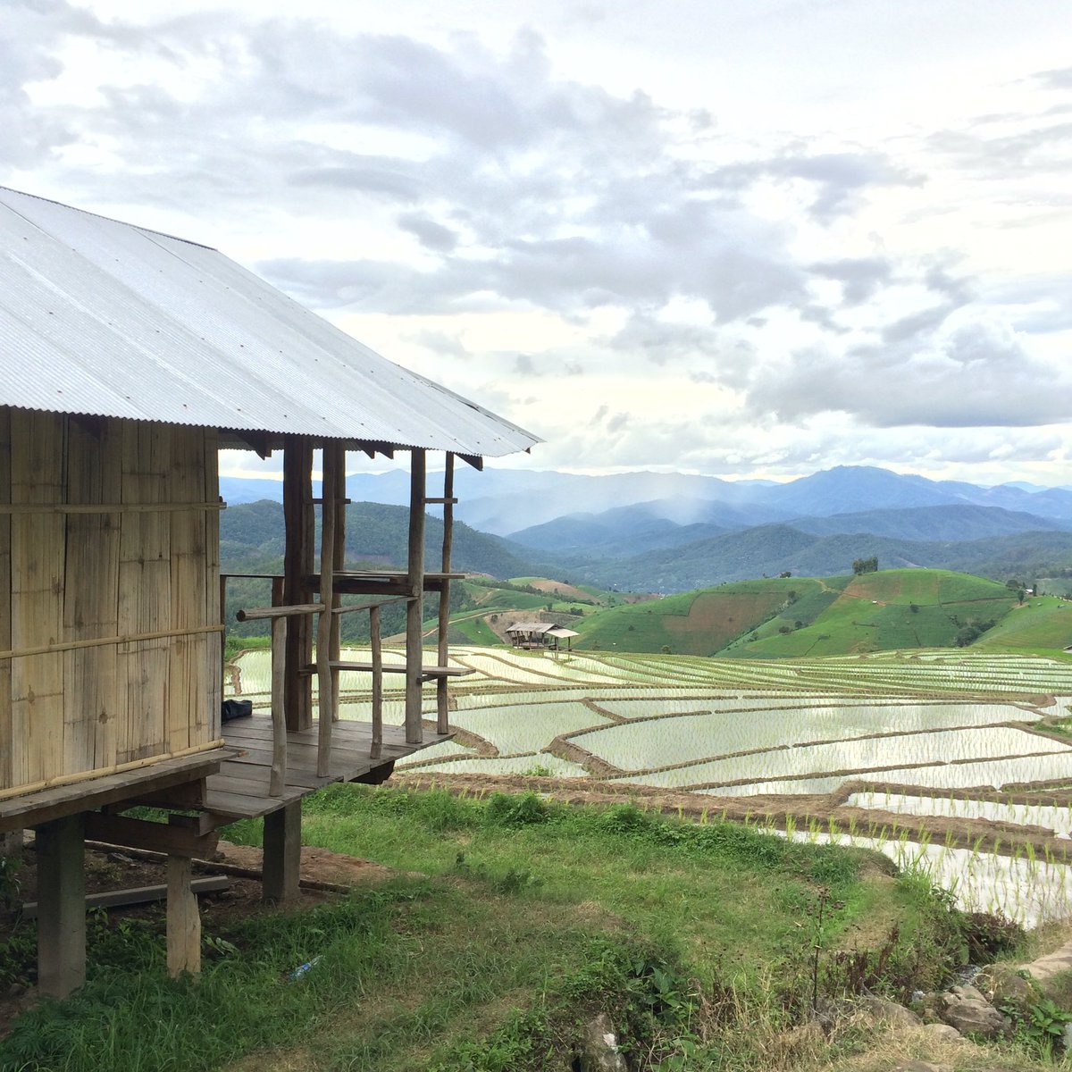 อันดับหนึ่ง 102+ ภาพพื้นหลัง ภาพ กระท่อม กลาง นา คมชัด