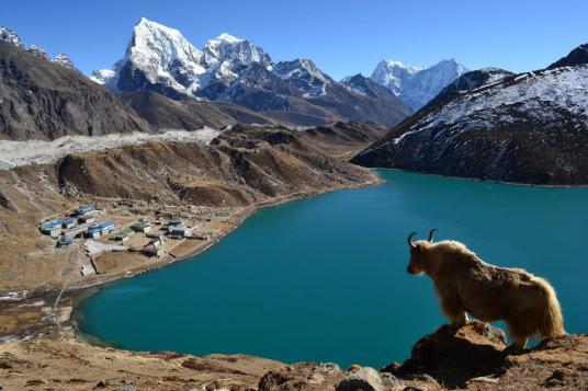 Traveloblogs's tweet photo. Sikkim https://t.co/fRhqz1zj8D https://t.co/0SSVNUtXaH