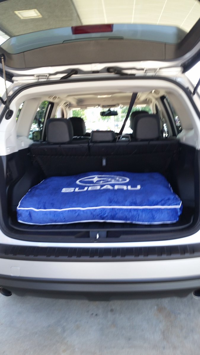 SubaruRaleigh's tweet photo. She waited so patiently we thought she deserved something new too. #Subarudogbed #welovepets #dogsofsubaru https://t.co/VEcn7jUwfZ