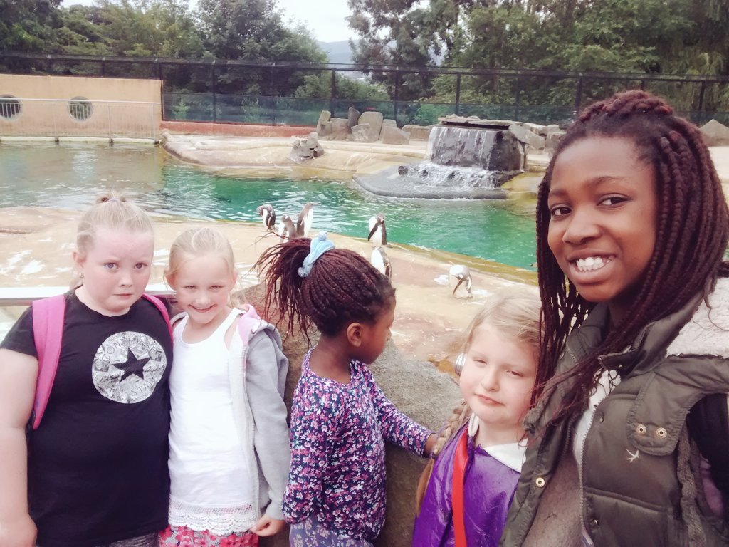 JustinaPEEK's tweet photo. Fantastic day @EdinburghZoo with @PEEK_Project @TheLegacyHub1 https://t.co/FN5J9qAr2z