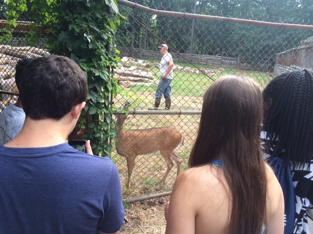 sb_royer's tweet photo. #AgLEAP visiting the Deer Research Facilities @agsciences #ThinkAg The trip was deerly loved by all! https://t.co/bOHQaryeMS