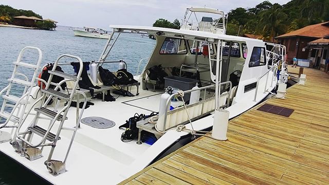 AKResort's tweet photo. From the surface #anthonyskey #diveschool #divingboat #roatandiving : @nikkivezm https://t.co/1JO7aXuOYQ