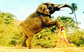 SHAMSHERINSAN8's tweet photo. @Gurmeetramrahim #_thanks you, you give me healting tips v,v thanks https://t.co/cO67Ht0tz9