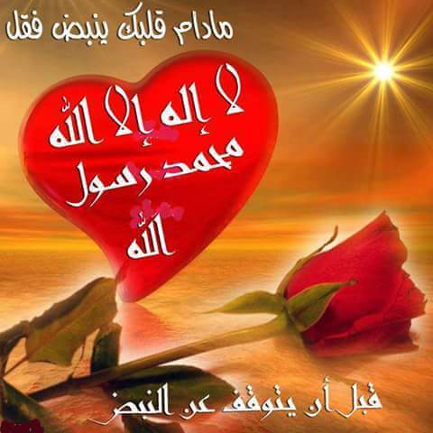 لا إله إلا الله محمد رسول الله