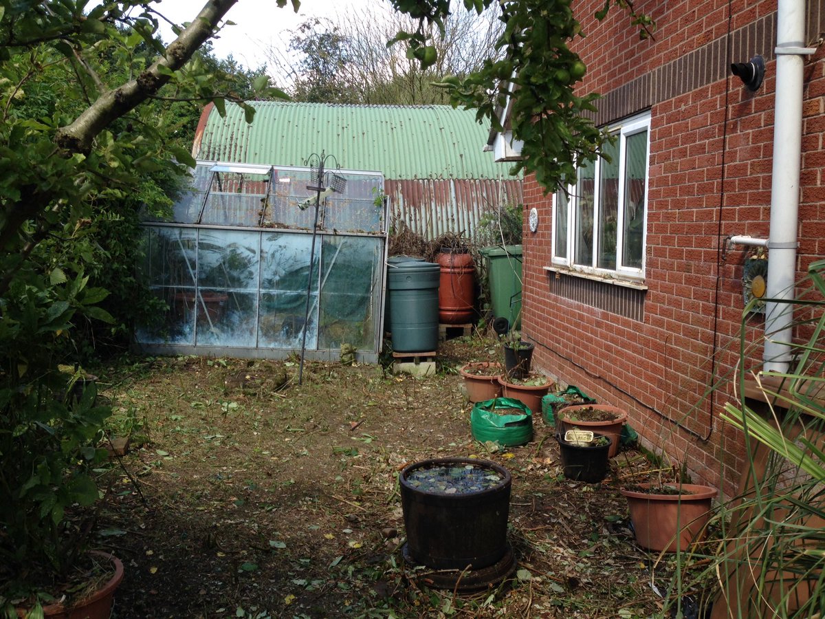 HoldingNeil's tweet photo. I knew there was a green house hiding somewhere#our garden wizard found it https://t.co/n6gTb0OpCI