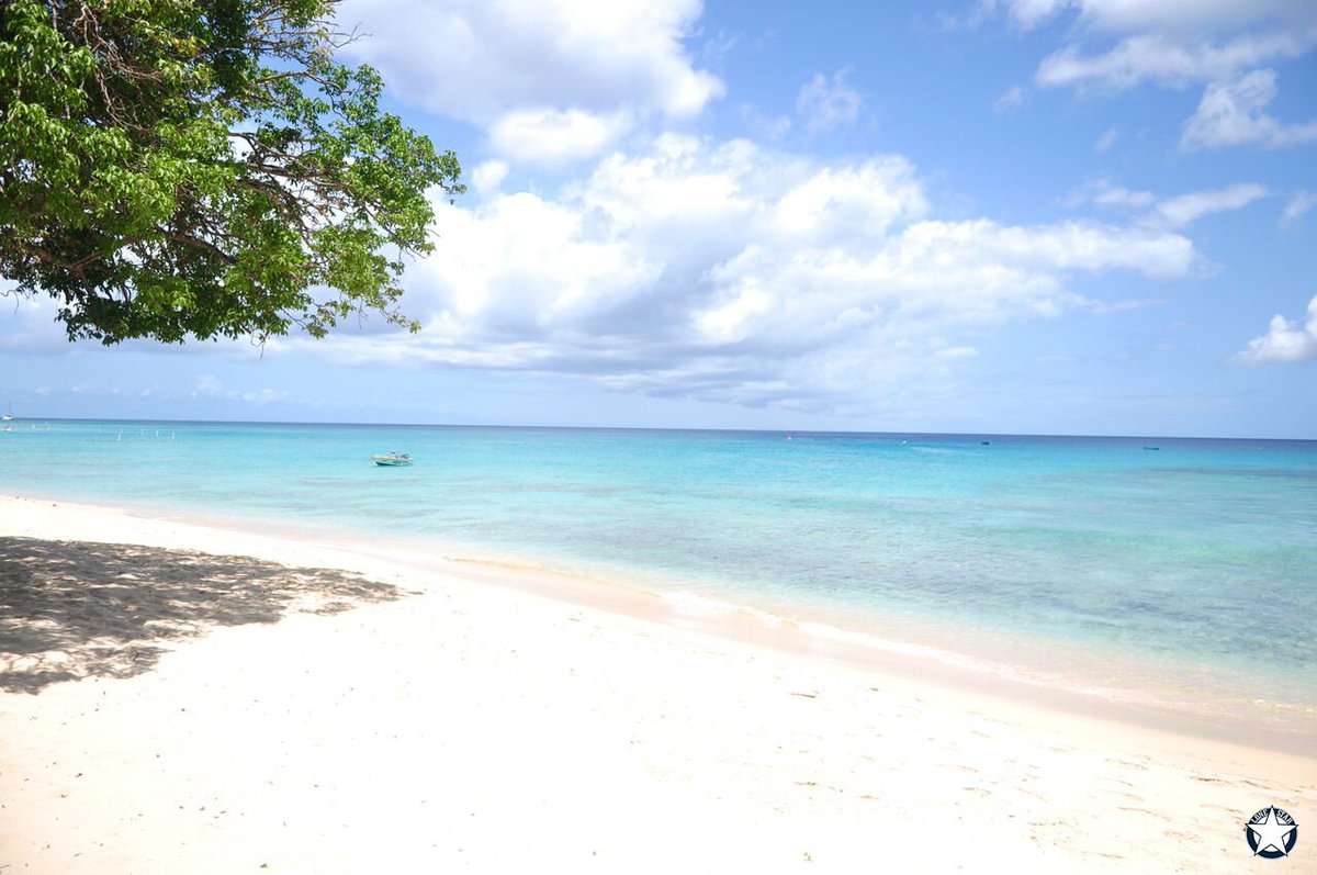 lonestarbdos's tweet photo. Looks like a perfect day to lounge on the beach! Send us a pic and let us know what your Friday looks like? https://t.co/MA7Ldi7Sl1