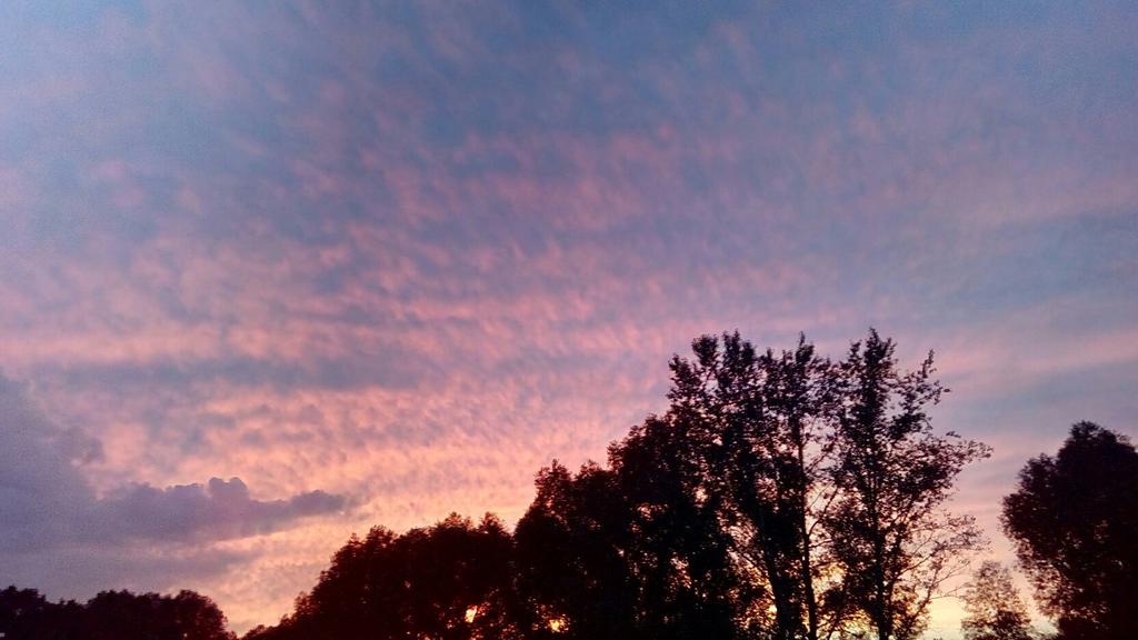 jotroca's tweet photo. Оуф у нас красивещеее https://t.co/SfyeD1HAs5