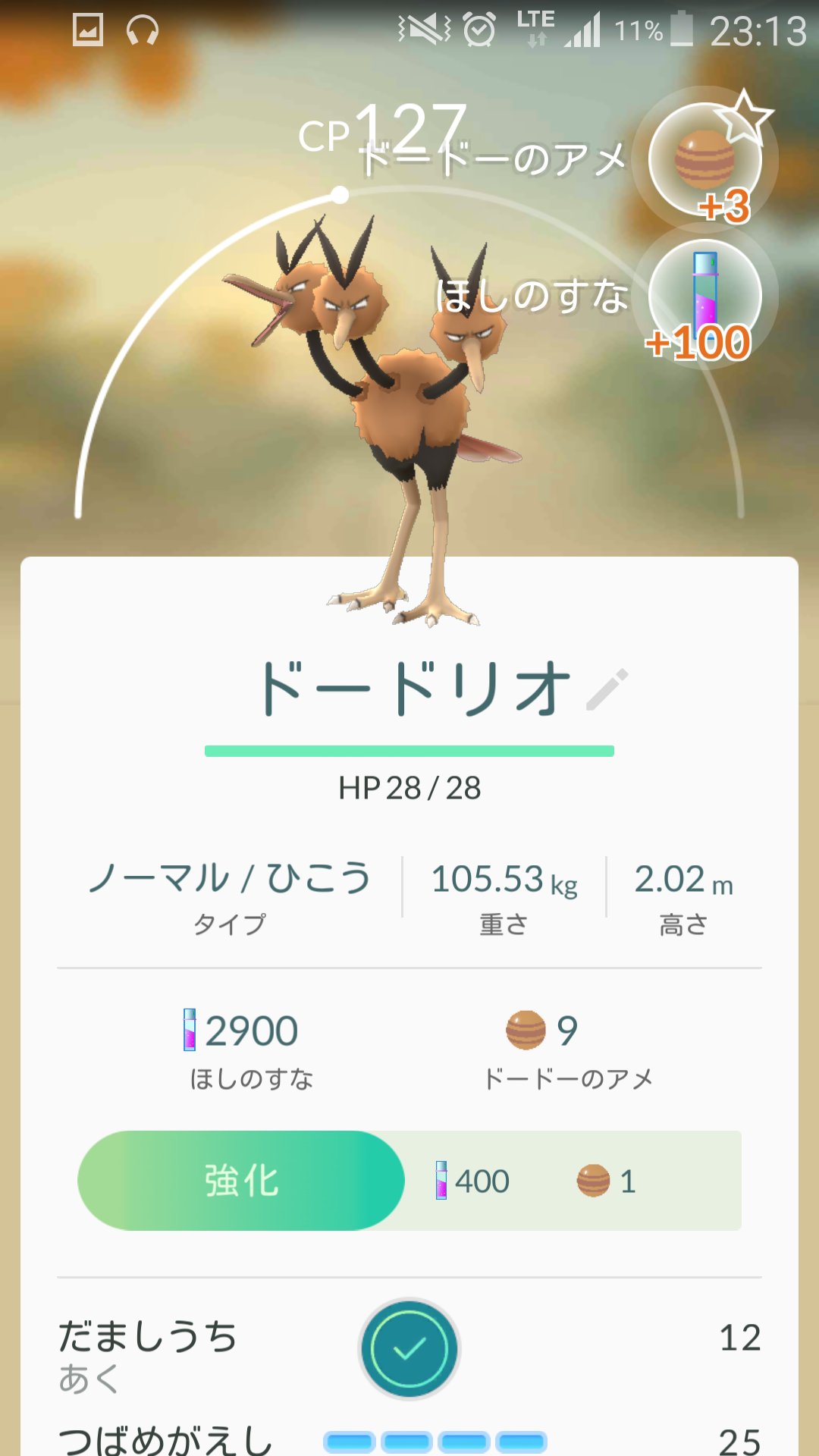 8bit 代々木公園結構いるよ 代々木公園結構いるよ 笑 ポケモンgo ポケモン T Co Lvxjiz3ys0 Twitter
