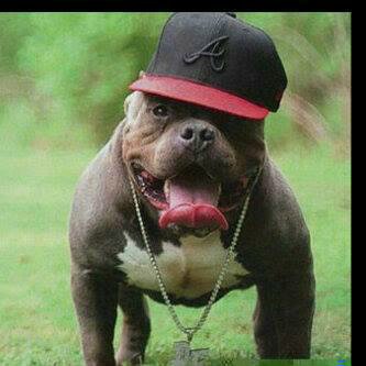 Millionaire Follower tweet media