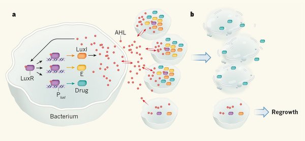 online how puzzles improve your brain the