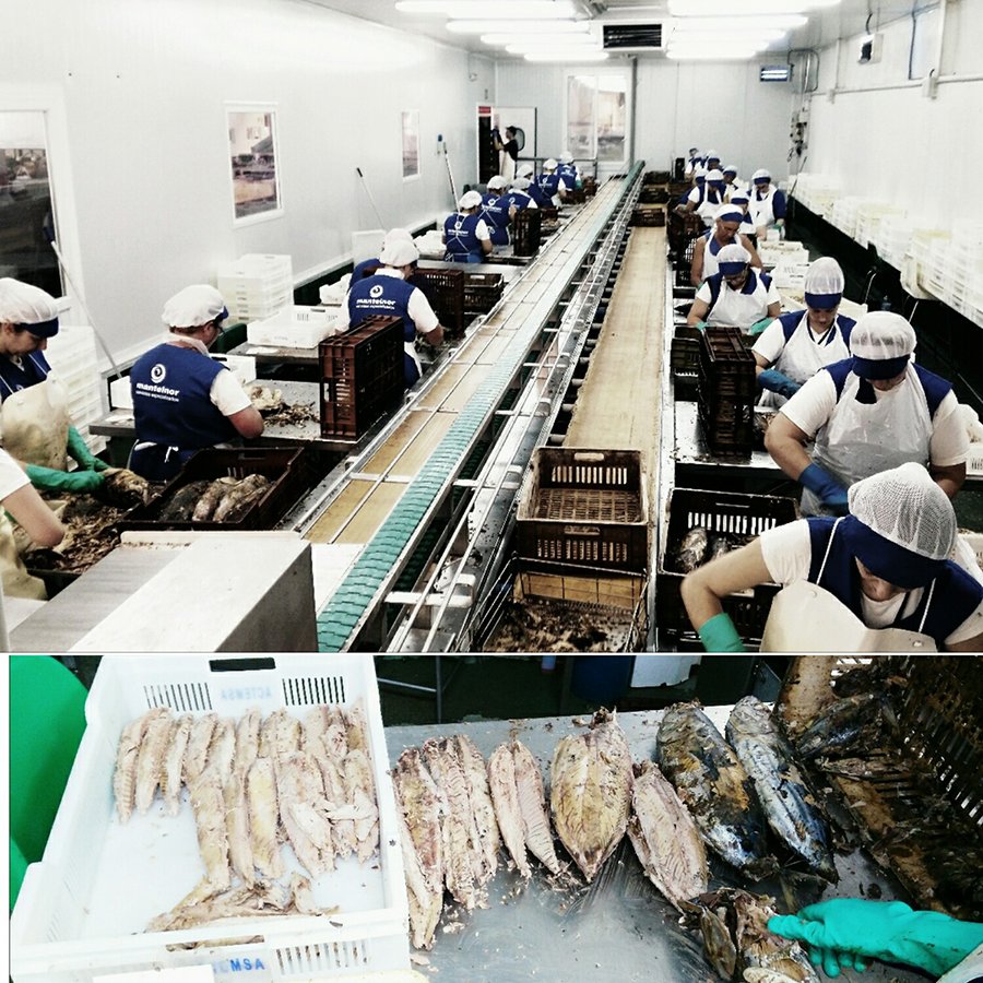 Felicidades Tamara Blanco por ganar #FotoTrabajo de @Nortempo con una foto sobre nuestra conservera #Batallando