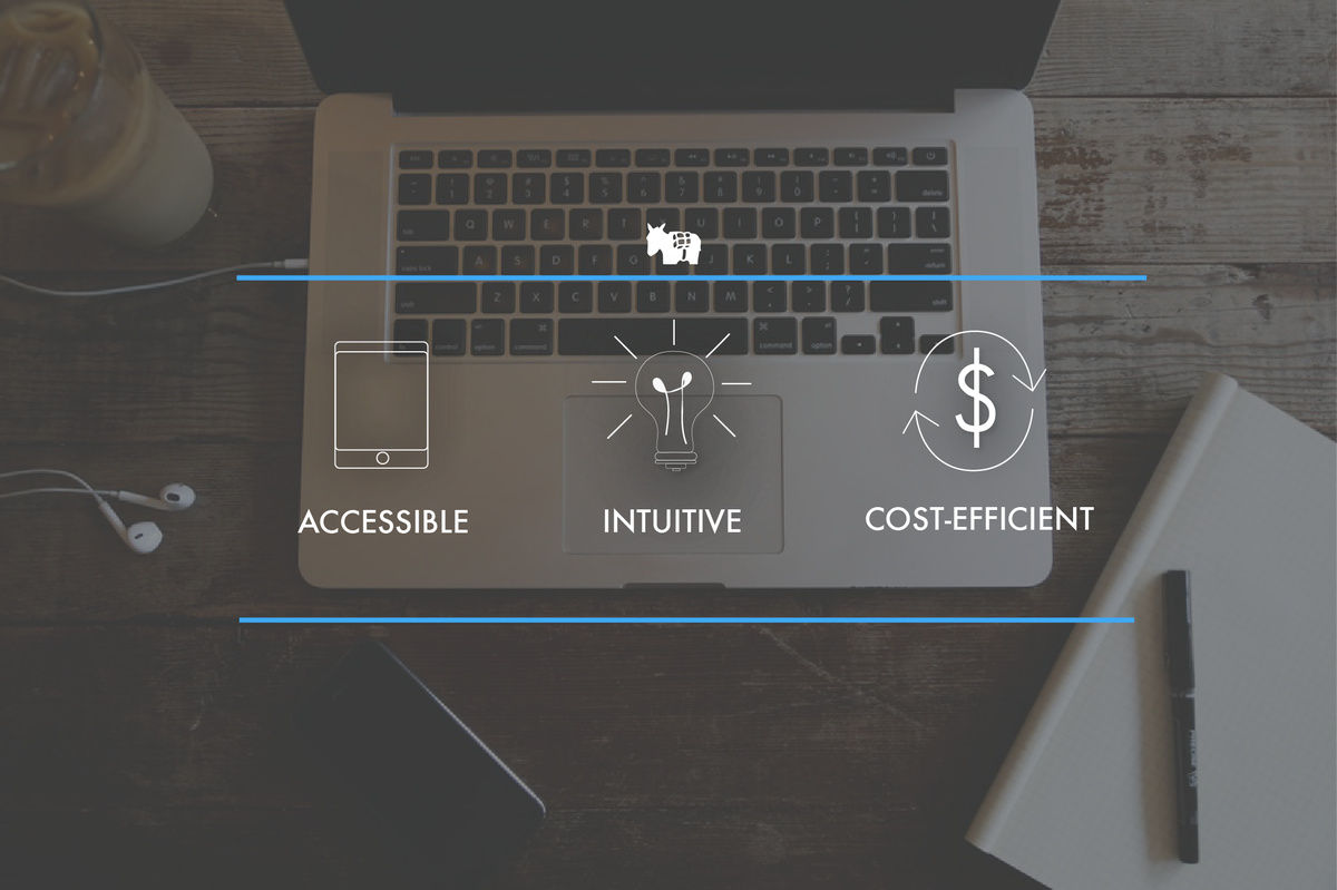 blueburro's tweet photo. Has your company considered a custom application to speed up daily operations? Get started: https://t.co/s5o8Sw19ut https://t.co/7C33oCbraY