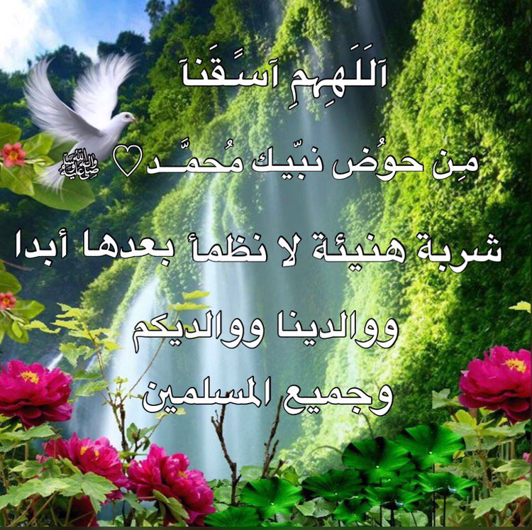 Uzivatel حم ـآم ـة آل س ـل آم Na Twitteru اللهم اسقنا من حوض نبيك ﷴﷺ شربة هنيئة لا نظمأ بعدها أبدا ووالدينا ووالديكم وجميع المسلمين