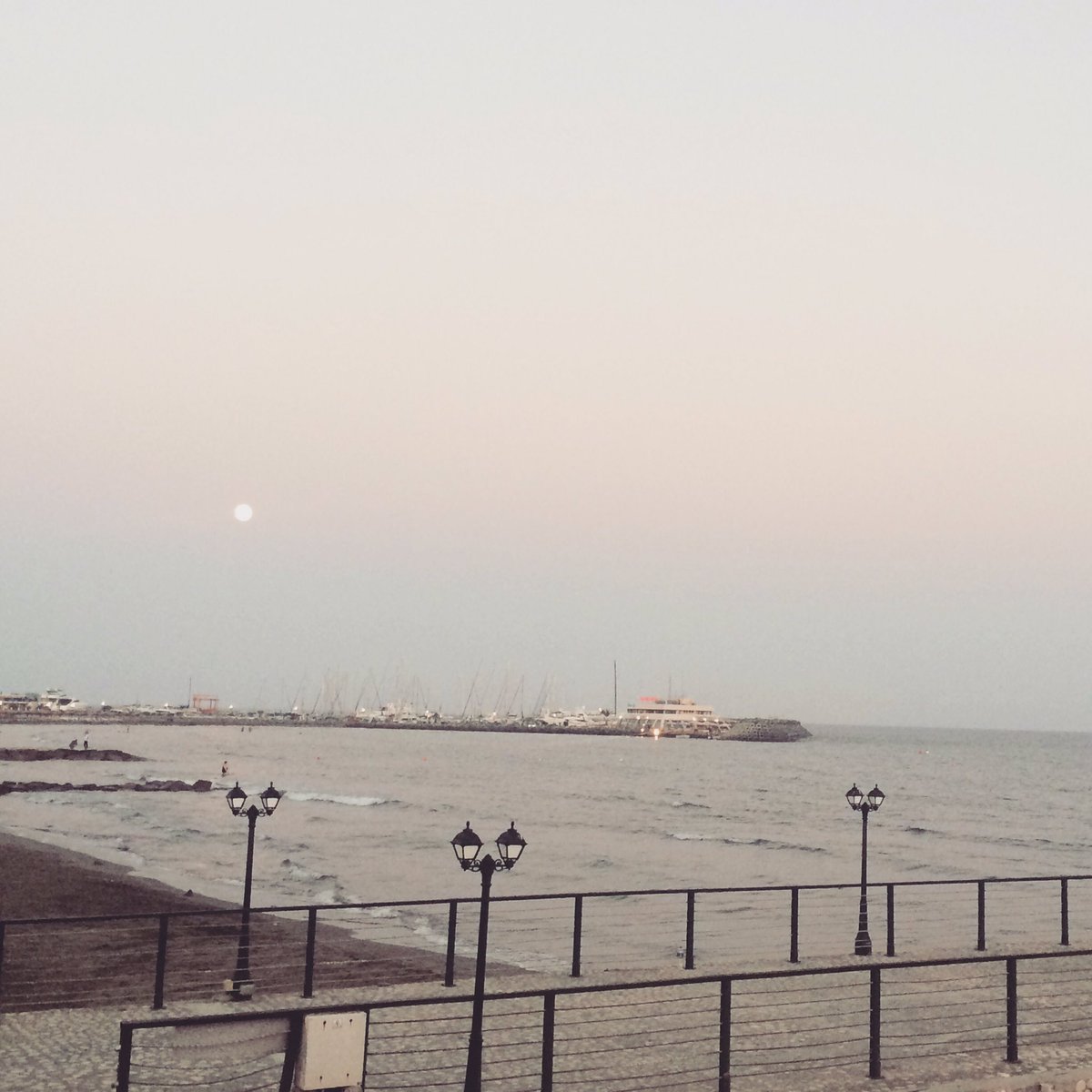 AGerrardBoarder's tweet photo. Cypress travel https://t.co/FO6RJxQOBw