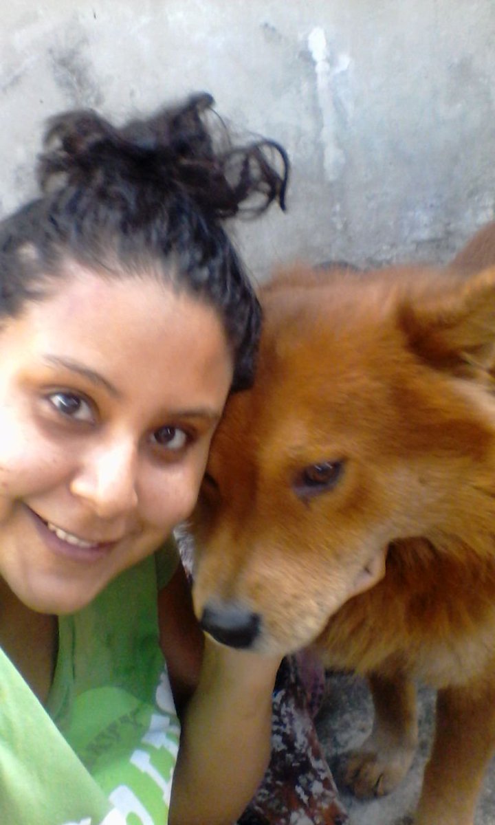 vainillaberryec's tweet photo. #EcuavisaYLasMascotas https://t.co/NqVtOfAgnQ