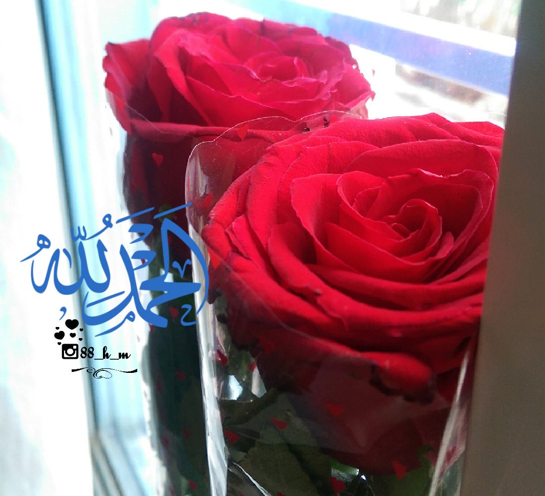 HalimaAlabdali's tweet photo. إذا كنت تعيش لآجل أمك، فأحترم كل النساء..

📝Halima Alabdali https://t.co/mPveoTv2Fo