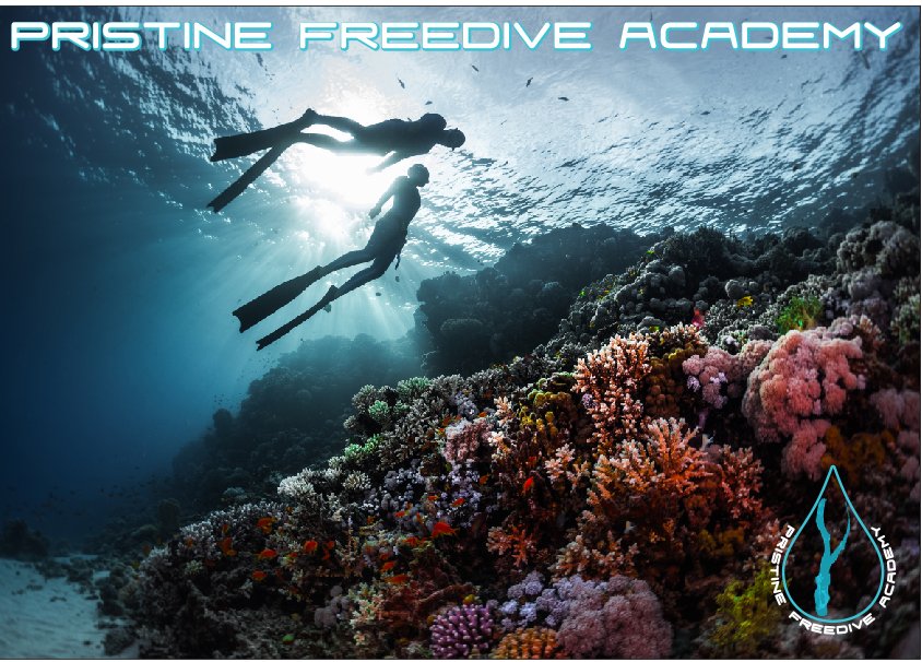 FreediveSA's tweet image. Come discover #freediving #newadventure #underwatersport #pristinefreediveacademy #apnealife #innerpeace #SSI #RAID