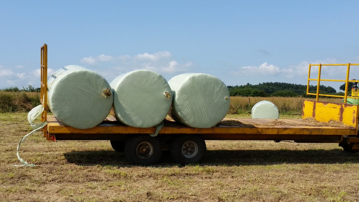 Maxayrcalving1's tweet photo. Still trying to get the hang of loading these bales 🙈 too delicate for someone so clumsy #farminginsummer https://t.co/cYA4sX5SwC