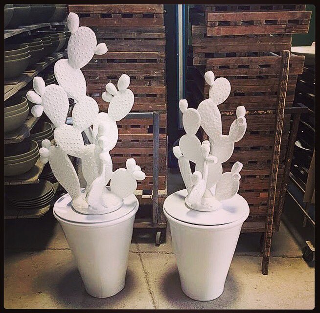 CarmenFasano's tweet photo. Le perenni #cactus #garden #Puglia #ceramica #ceramics #fichid'india https://t.co/C87eSDaHEO