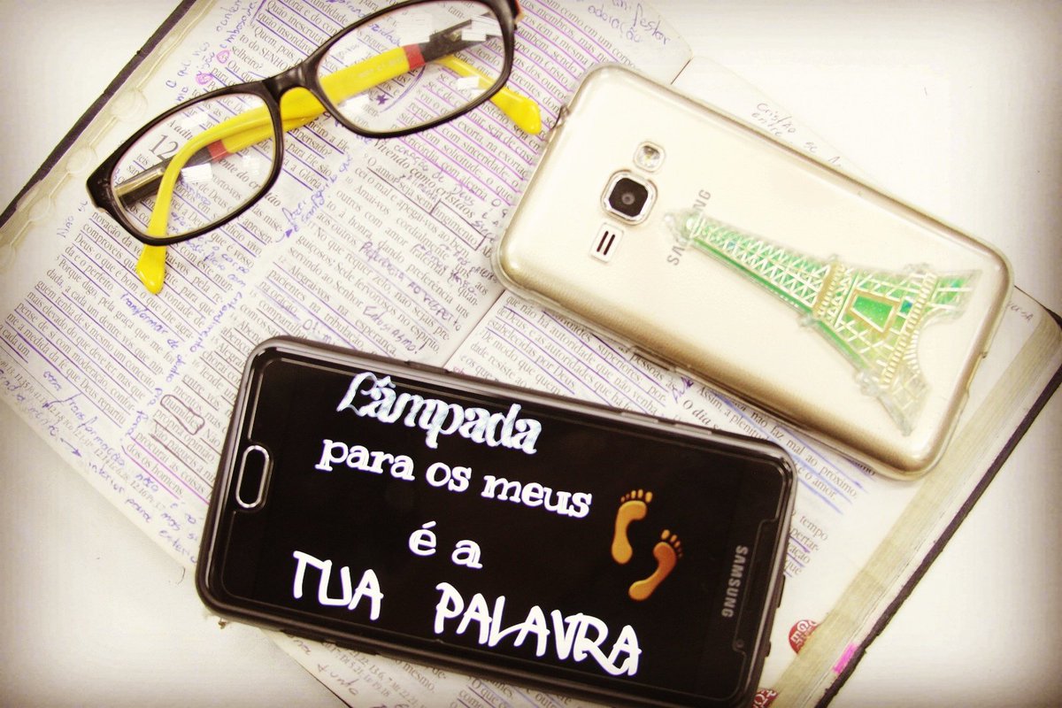 FotinhosDeGato's tweet photo. SIGO DE VOLTA QUEM DER RT NESTE TWEET #QuartaDetremuraSdv soh da RT que sigo https://t.co/vdWAkJu9In