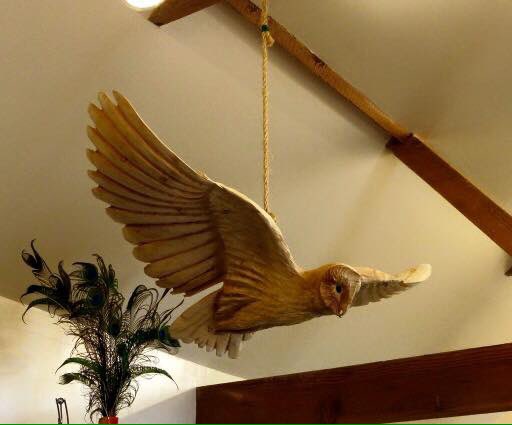 Tommy  Craggs tweet media