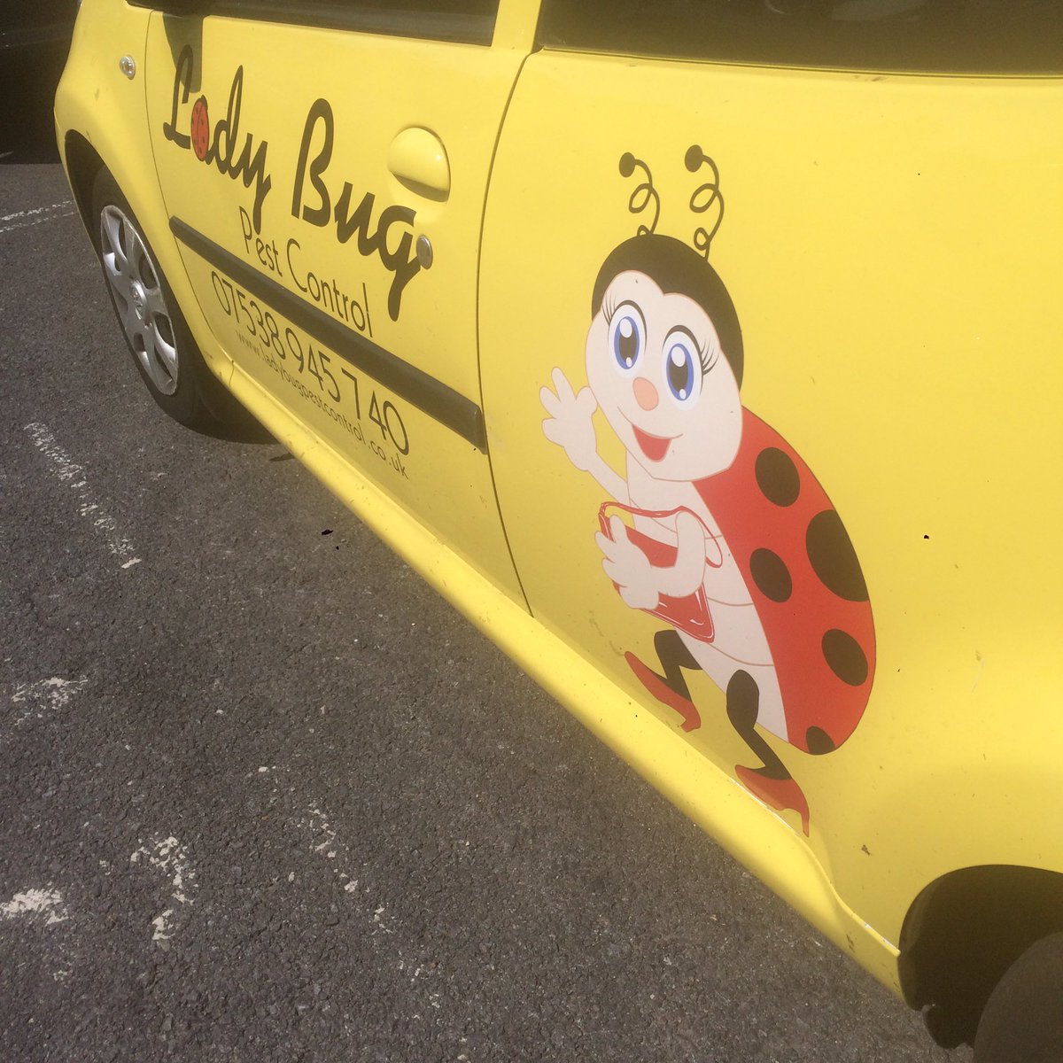 ratdetective's tweet photo. Great to meet up with @LadyBugFPC this afternoon and show her what #RatDetection are all about #RatSolutions https://t.co/FvNNxXMYSZ