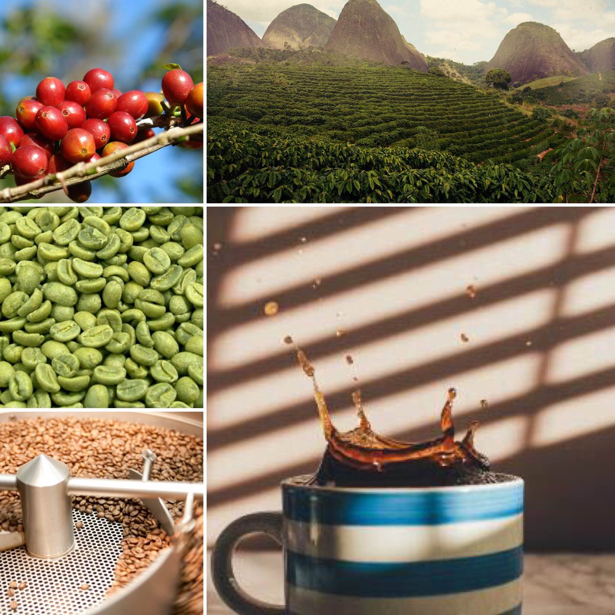 Weet jij welke reis koffiebonen afleggen voordat ze in jouw kopje belanden? Lees hier: http://bit/ly/journeybean_nl