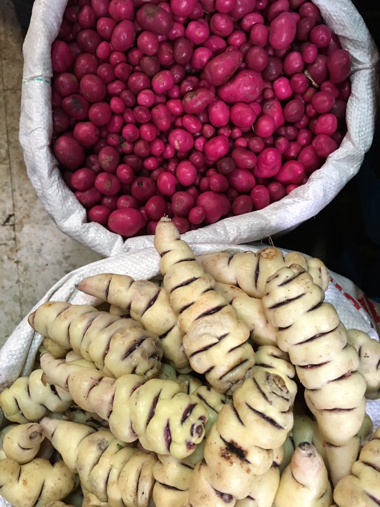 MadamePapita's tweet photo. #ColombiaCelebra desde sus fogones! #ColombiaSabe a cubitos, ubias, mazorca, mangostino, granadilla, chirimoyas https://t.co/oRm7gIUbSg