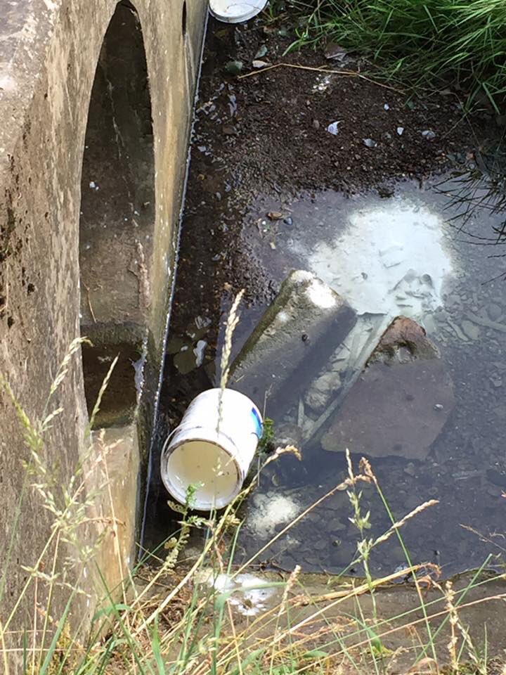 dangissane's tweet photo. This disgusting mess in Valley Rd #Nuneaton has been reported to @NBBCouncil to be cleaned. (1 of 2) https://t.co/cAu6a7WQwr
