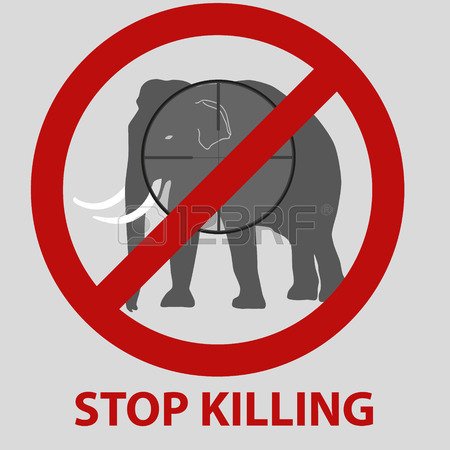rustmanikhaleeq's tweet photo. save earth save animal save environment  #POGCAtrocities https://t.co/mEkuLWlZ6c