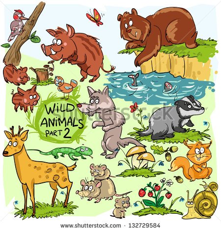 rustmanikhaleeq's tweet photo. Save animal save life  #POGCAtrocities https://t.co/qn9P1kstXE